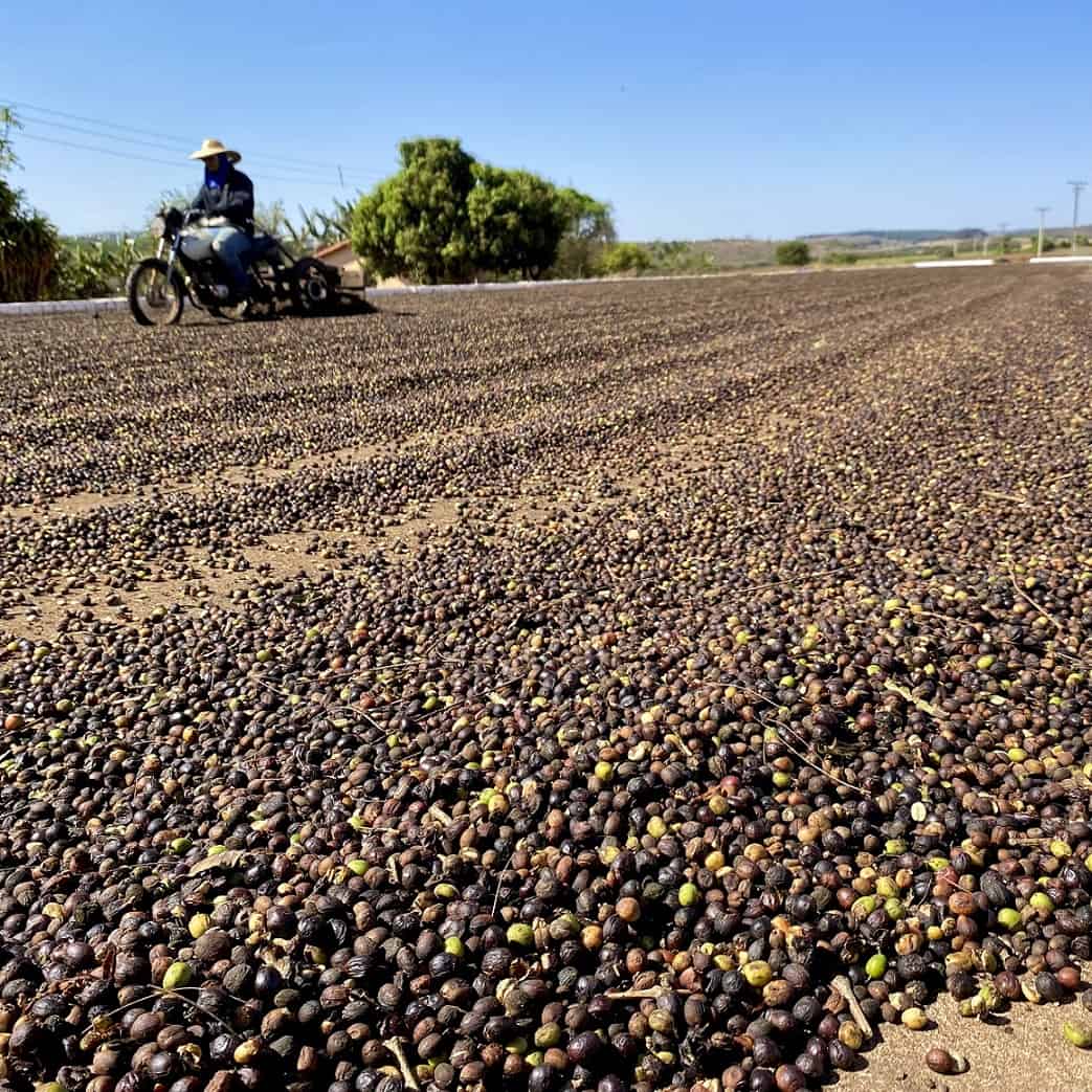 Mixing Coffee Semente