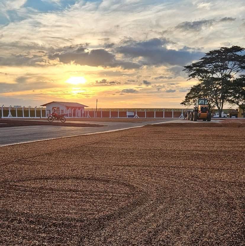 Nascimento Patio